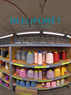 Bleuforêt