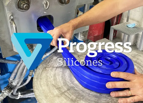 Progress Silicones