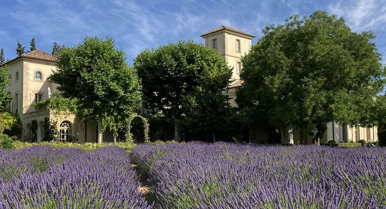 Château Gigognan