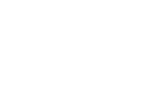 intuis