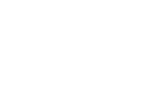 lesgeorgettes